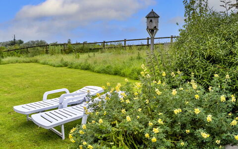 Goose, Quinceborough Farm: Gul, Busk, Græs-, Land Lot, Eng, Have, Sommerhus, Prærie, Wildflower