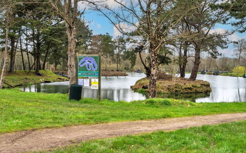 Pine Forest Lodge: Vand, Natur, Bank, Vandløb, Dam, Sø, Naturreservat, Reservoir, Parkere