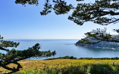 The Old Vicarage: Blå, Vand, Grøn, Krop Af Vand, Blad, Vegetationen, Naturlige Landskab, Kyst, Coastal Og Oceaniske Landskabsformer, Hav