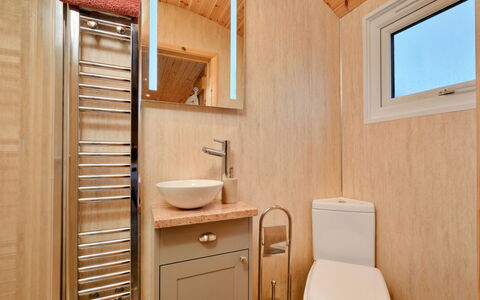 Demelza Shepherd'S Hut: Træ, Gulvbelægning, Sanitærarmatur, Etage, Indretning, Badeværelse, Vvs, Værelse, Toilet, Bejdse