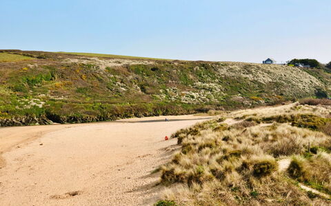 The Cuddy: Naturligt Miljø, Økoregion, Horisont, Terræn, Sand, Landskab, Plantesamfund, Ødemark, Shrubland, Geologi