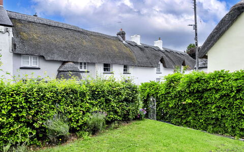 Okehampton 619: Busk, Hæk, Sommerhus, Have, Landscaping, Cumulus