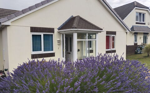 Lavender Waye: Boligområde, Hjem, Sommerhus, Have, Lawn, Skydevindue, Gård, Estate, Landscaping, Forstad