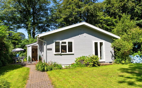 Brockwood: Græs, Hus, Busk, Sommerhus, Hjem, Bunddække, Have, Sidespor, Lawn
