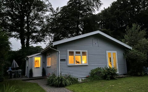 Brockwood: Hus, Hjem, Tag, Sommerhus, Sidespor, Busk, Dør, Have, Stuehus, Lawn