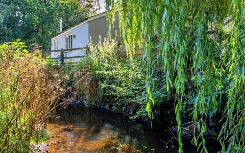 Marsh Cottage: Vand, Vegetationen, Vandløb, Busk, Plantesamfund, Bank, Afspejling, Dam, Kvist