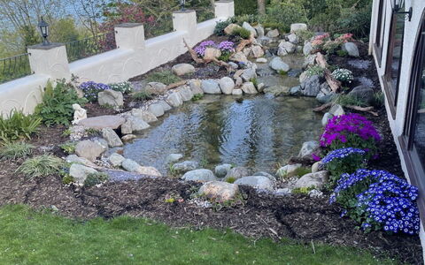 Cliff Lodge: Rots, Busk, Have, Bunddække, Backyard, Landscaping, Water Feature, Gård, Lawn