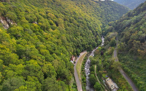 River Cottage: Natur, Naturligt Miljø, Vegetationen, Busk, Skov, Landskab, Highland, Plantesamfund, Jungle, Færdselsåre