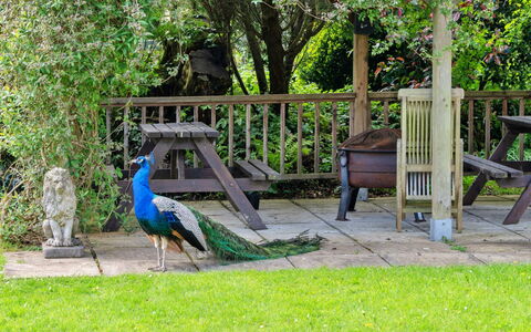 Trimstone Manor - Granary Cottage: Have, Udendørs Bench, Lawn, Gård