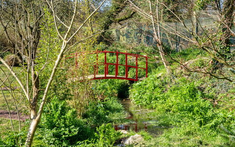 Trimstone Manor - Lee, Studio Apartment: Grøn, Natur, Naturligt Miljø, Blad, Bro, Vegetationen, Naturlige Landskab, Busk, Plantesamfund