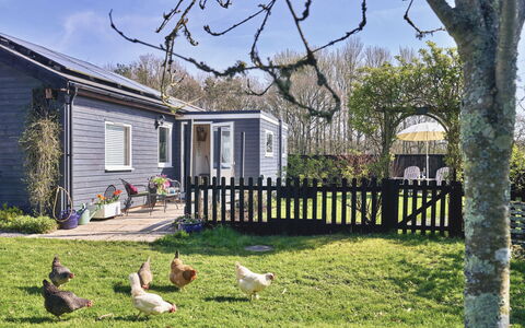 Snuggery: Hus, Sommerhus, Hjem, Busk, Have, Sidespor, Dør, Backyard, Bunddække