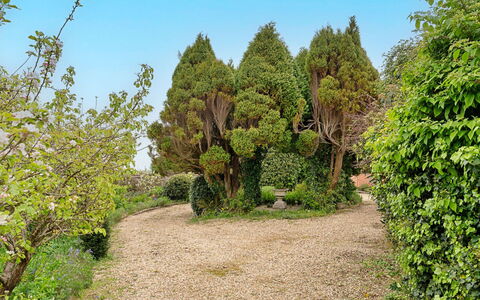 Heselwood: Grøn, Blad, Vegetationen, Busk, Have, Plantesamfund, Bunddække, Vedplante, Botanisk Have