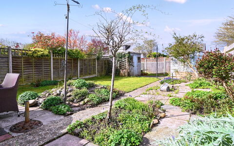 Forget Me Not: Have, Busk, Bunddække, Walkway, Backyard, Landscaping, Flise, Gård, Skygge
