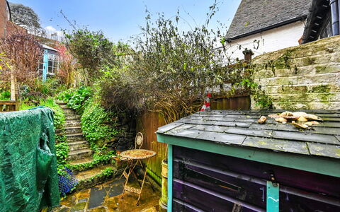 Old Town Cottage, Hastings: Busk, Have, Sommerhus, Backyard, Gård, Landscaping, Blomsterkrukke, Stueplante