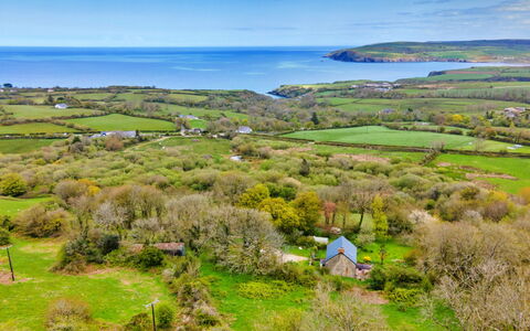 Arfron: Grøn, Naturlige Landskab, Græs-, Hav, Eng, Ocean, Mark, Pasture, Prærie, Plantation