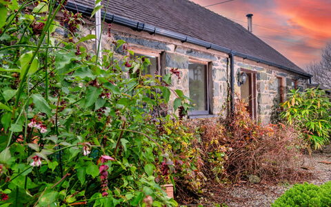 Pandy Farmhouse: Busk, Sommerhus, Hus, Tag, Hjem, Have, Stuehus, Gård, Landscaping, Backyard