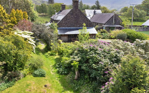 Y Cwtch: Grøn, Vegetationen, Hus, Tag, Busk, Sommerhus, Plantesamfund, Have, Landdistrikt