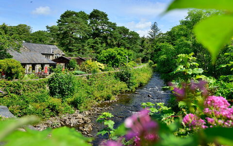 Artro View: Blomst, Natur, Vegetationen, Busk, Have, Sommerhus, Hus, Vandløb, Plantesamfund