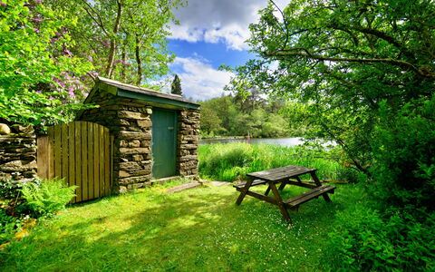 Tafarn Trip: Natur, Træ, Vegetationen, Naturlige Landskab, Busk, Plantesamfund, Have, Landdistrikt, Bunddække, Forår