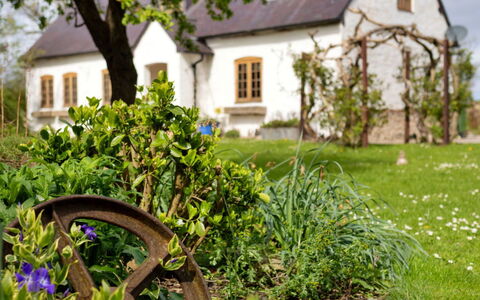 Waen Farm Cottage: Busk, Have, Hus, Sommerhus, Hjem, Stuehus, Forår, Lawn, Landscaping