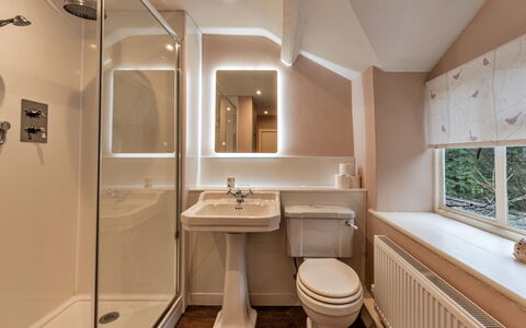 Dolhyfryd Lodge: Sanitærarmatur, Indretning, Badeværelse, Loft, Gulvbelægning, Etage, Vvs, Håndvask, Belysning, Tap