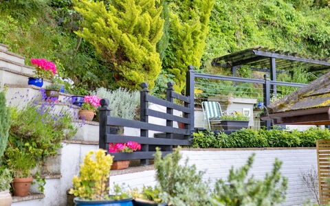 Yr Ardd Bellaf: Blomst, Busk, Have, Blomsterkrukke, Bunddække, Forår, Landscaping, Stueplante, Gård