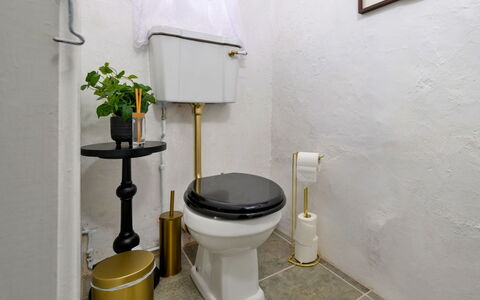 Merddyn Cottage: Toiletbræt, Toilet, Sanitærarmatur, Badeværelse, Vvs, Flise, Keramisk, Porcelæn