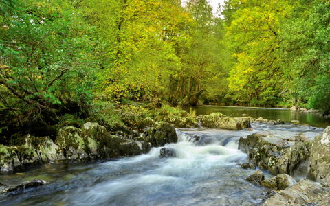 Dyffryn: Vandressourcer, Vand, Vandløb, Krop Af Vand, Afdeling, Natur, Blad, Grøn, Strøm, Naturligt Miljø