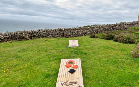Goferydd: Græs, Græs-, Almindeligt, Hav, Ocean, Lawn, Kyst, Kunstgræs