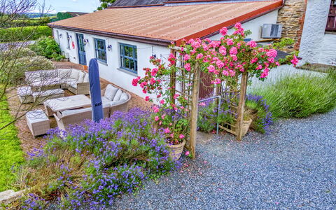 Jabajak Vineyard: Blomst, Busk, Have, Sommerhus, Bunddække, Forår, Landscaping, Gård, Stuehus