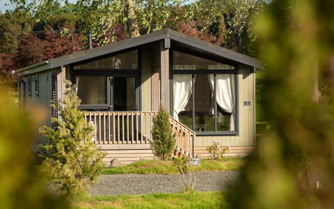 Silverwood Family Lodge: Bordservice, Serveware, Kop, Kaffekop, Drinkware, Teapot, Mad, Tallerkner, Te Kop, Porcelæn