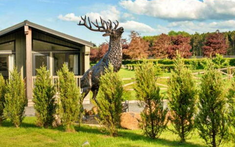 Silverwood Executive Chalet: Bordservice, Serveware, Kop, Kaffekop, Drinkware, Teapot, Mad, Tallerkner, Te Kop, Porcelæn
