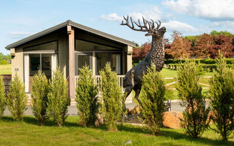 Silverwood Hideaway Lodge: Bordservice, Serveware, Kop, Kaffekop, Drinkware, Teapot, Mad, Tallerkner, Te Kop, Porcelæn