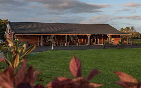 Silverwood Spa Lodge: Bordservice, Serveware, Kop, Kaffekop, Drinkware, Teapot, Mad, Tallerkner, Te Kop, Porcelæn
