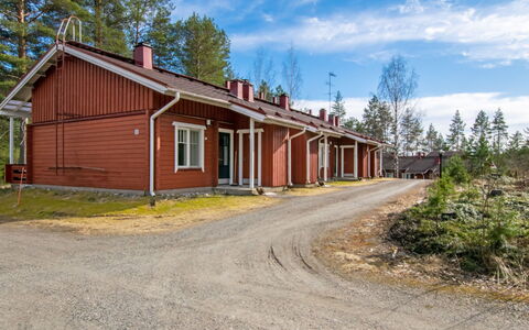 Koli Country Club D 11: Sommerhus, Land Lot, Lærk, Sidespor, Estate, Indkørsel, Pine Family, Stuehus