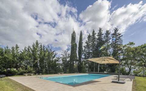 Casa Amelia, Pool, Casole Elsa, Monti: Blå, Svømmepøl, Skygge, Have, Landscaping, Evergreen, Lærk, Eco Hotel