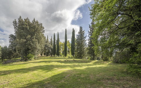 Casa Amelia, Pool, Casole Elsa, Monti: Blad, Græs, Træ, Naturligt Miljø, Natur, Grøn, Afdeling, Vegetationen, Naturlige Landskab, Busk