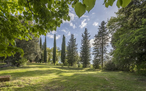 Casa Amelia, Pool, Casole Elsa, Monti: Blad, Træ, Natur, Grøn, Naturligt Miljø, Afdeling, Vegetationen, Naturlige Landskab, Busk, Plantesamfund