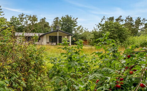 Söffren - 450M to the Fjord: Træ, Græs, Busk, Landdistrikt, Land Lot, Græs-, Sommerhus, Almindeligt