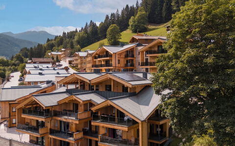 Viehhofen 1: Altan, Tømmer, Eco Hotel, Bjerglandsby, Hotel, Udvej, Sidespor, Alps