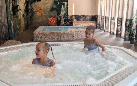 Viehhofen 1: Fritid, Komfort, Barn, Jacuzzi, Hotel, Svømmepøl, Udvej