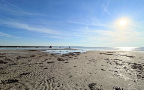 Brynja - 2.5Km from the Sea: Bygning, Hus, Vindue, Hjem, Tag, Boligområde, Busk, Sommerhus, Land Lot