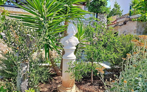 Mariva: Busk, Have, Lawn Ornament, Blomsterkrukke, Kolonne, Landscaping, Stueplante, Botanisk Have