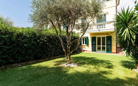 Casa Dell'Ulivo: Grøn, Busk, Have, Lawn, Hæk, Landscaping, Skygge, Gård, Backyard, Estate