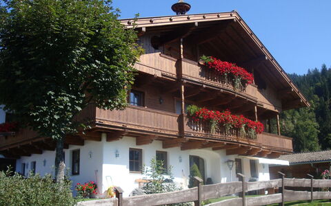 Hopfgarten im Brixental 696: Sommerhus, Altan, Landsby, Blomsterkrukke, Stueplante, Stuehus
