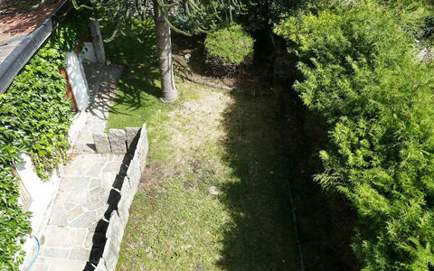 Ludiano 25: Grøn, Blad, Busk, Have, Bunddække, Skygge, Backyard, Walkway, Gård