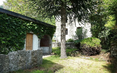 Ludiano 25: Blad, Busk, Have, Stenmur, Skygge, Backyard