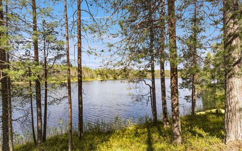Hakojärventie 3B: Vandressourcer, Vand, Krop Af Vand, Grøn, Træ, Natur, Naturligt Miljø, Naturlige Landskab, Blad, Vegetationen