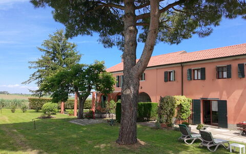Ca' Rustica: Busk, Estate, Hacienda, Have, Landscaping, Gård, Lawn, Indkørsel, Skygge, Villa