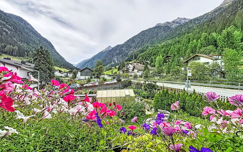 Jana: Svømmepøl, Stuehus, Estate, Villa, Udvej, Hacienda, Eco Hotel, Backyard